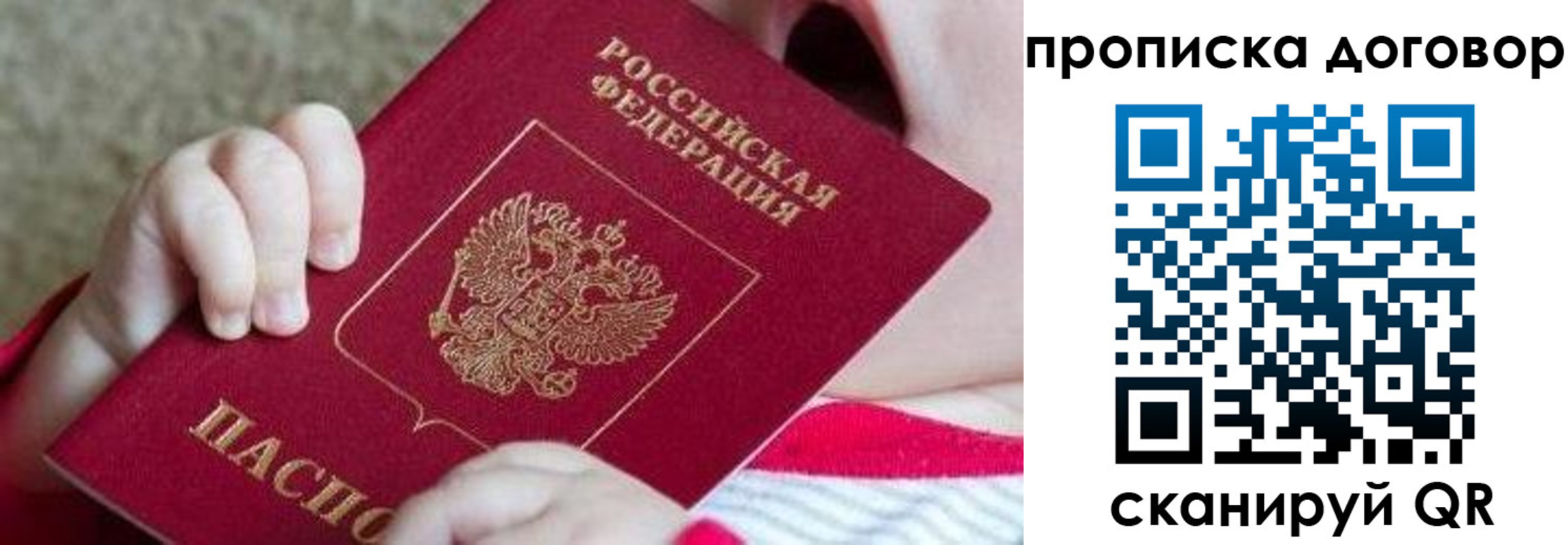 временная регистрация поиск в Краснознаменске